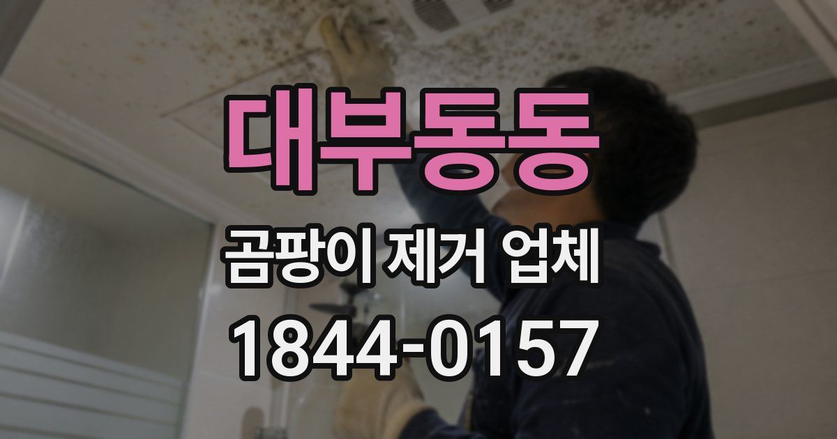 대부동동 곰팡이 제거 업체