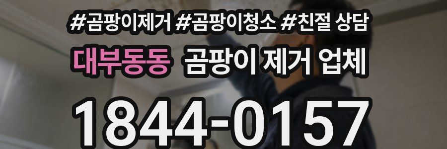 대부동동 곰팡이 제거 업체