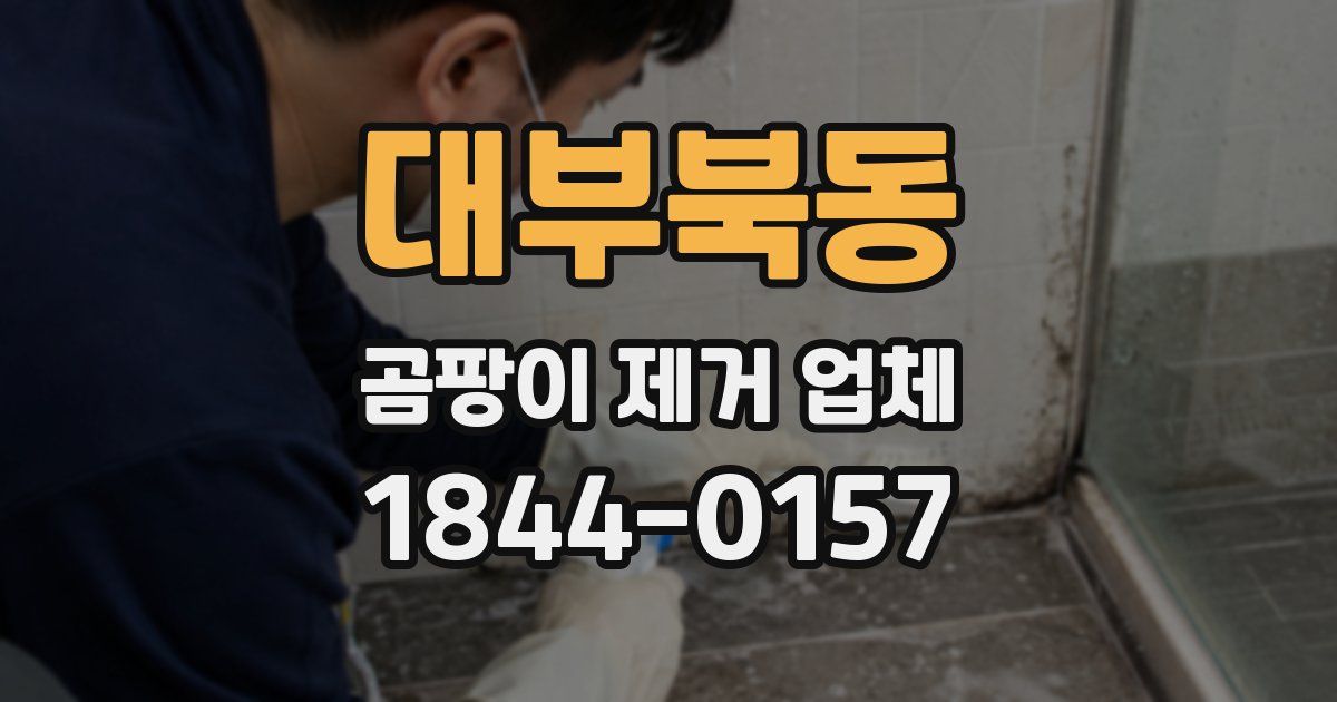 대부북동 곰팡이 제거 업체