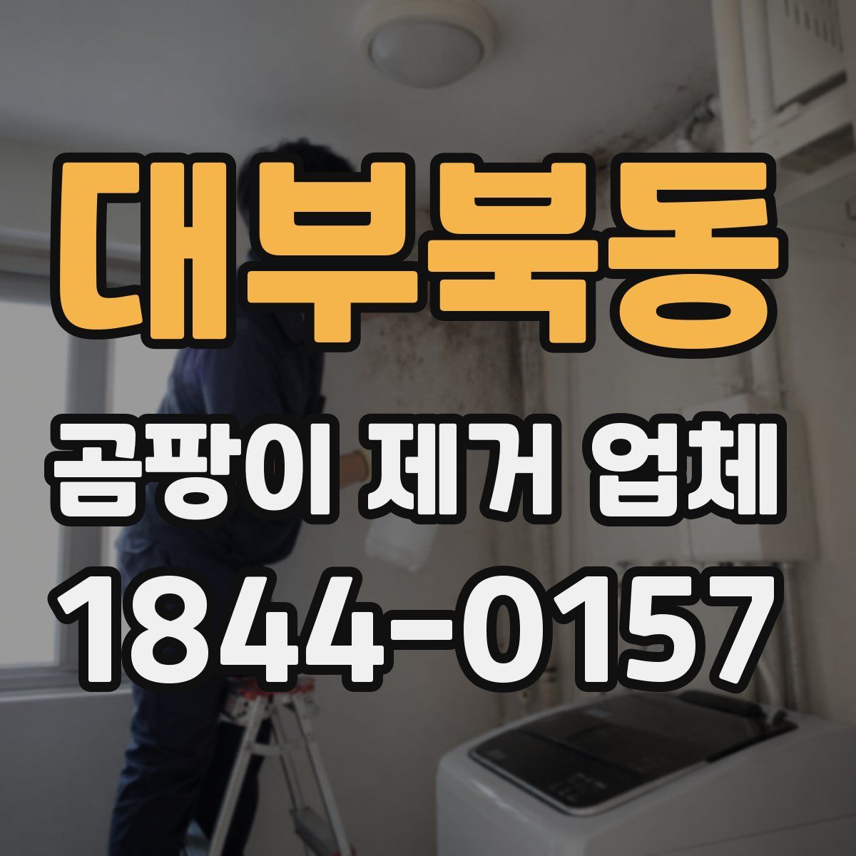 대부북동 곰팡이 제거 업체