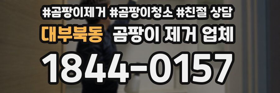 대부북동 곰팡이 제거 업체