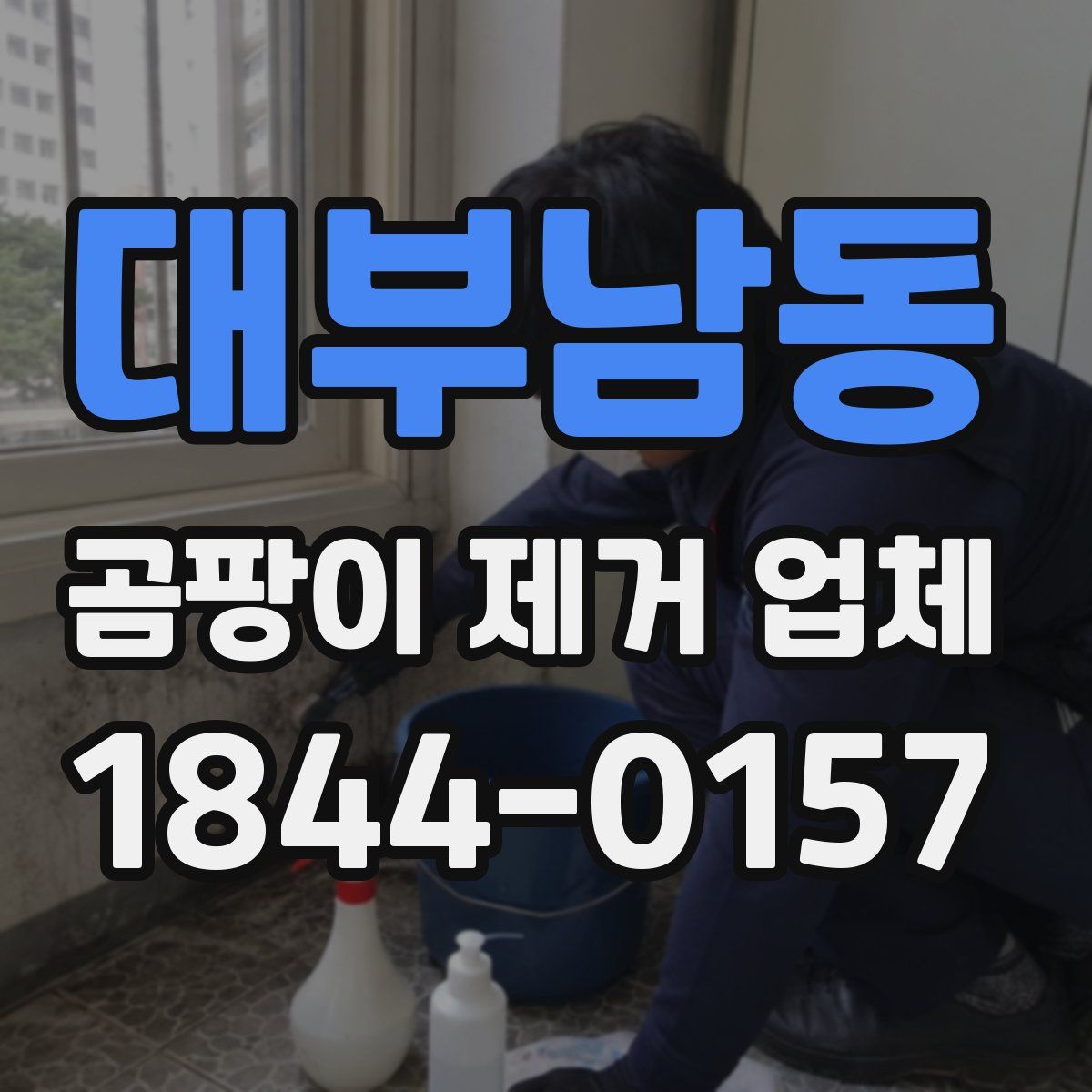 대부남동 곰팡이 제거 업체