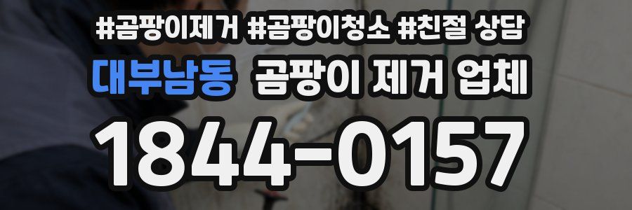 대부남동 곰팡이 제거 업체