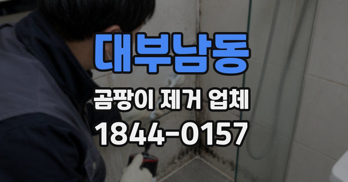 대부남동 곰팡이 제거 업체