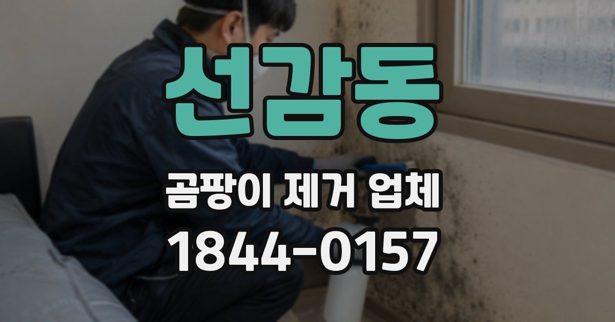 선감동 곰팡이 제거 업체