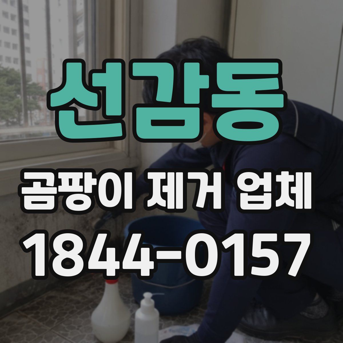 선감동 곰팡이 제거 업체
