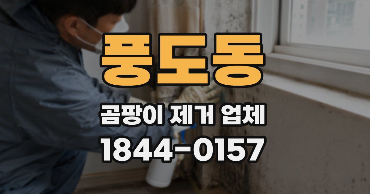 풍도동 곰팡이 제거 업체
