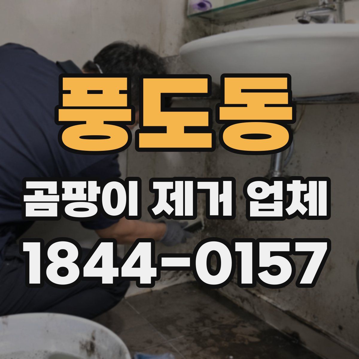 풍도동 곰팡이 제거 업체