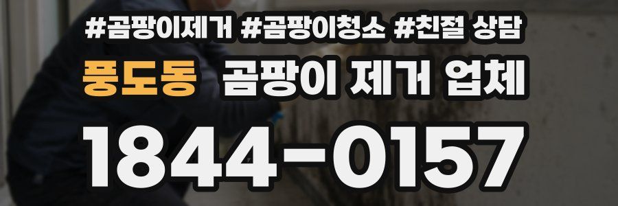 풍도동 곰팡이 제거 업체