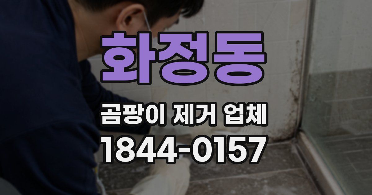 화정동 곰팡이 제거 업체