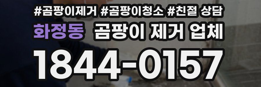 화정동 곰팡이 제거 업체
