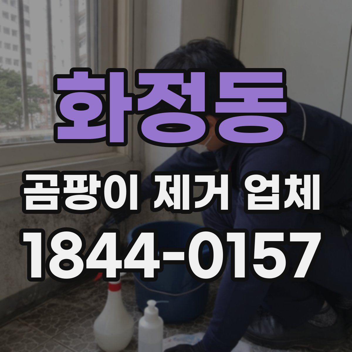 화정동 곰팡이 제거 업체