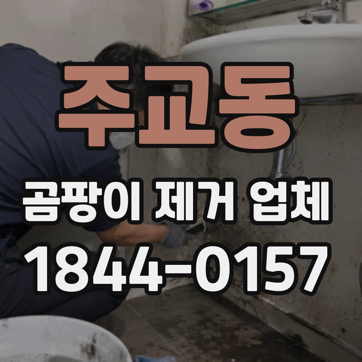 주교동 곰팡이 제거 업체
