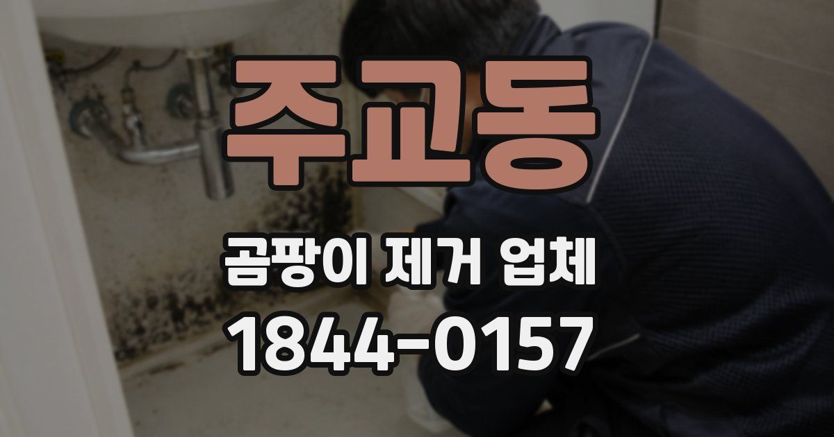 주교동 곰팡이 제거 업체