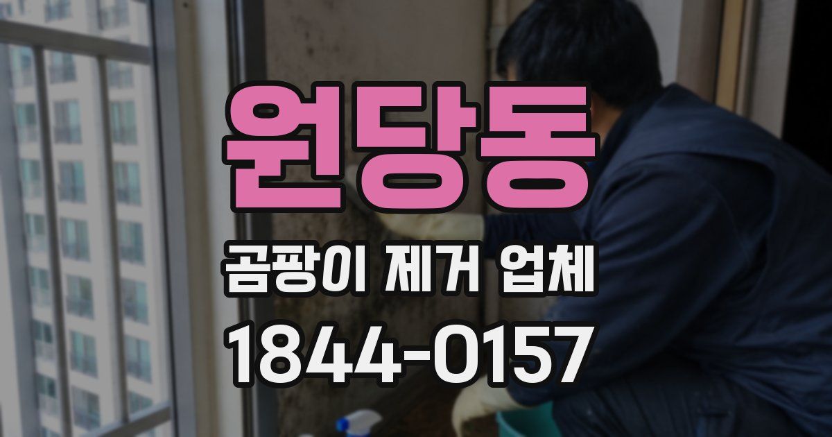 원당동 곰팡이 제거 업체