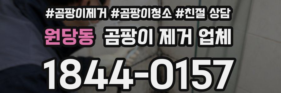원당동 곰팡이 제거 업체