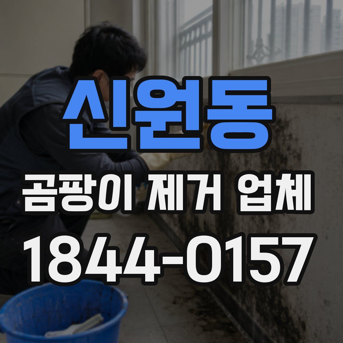 신원동 곰팡이 제거 업체