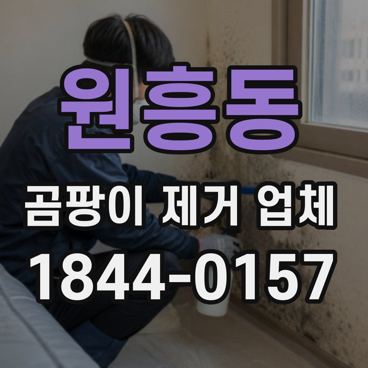 원흥동 곰팡이 제거 업체