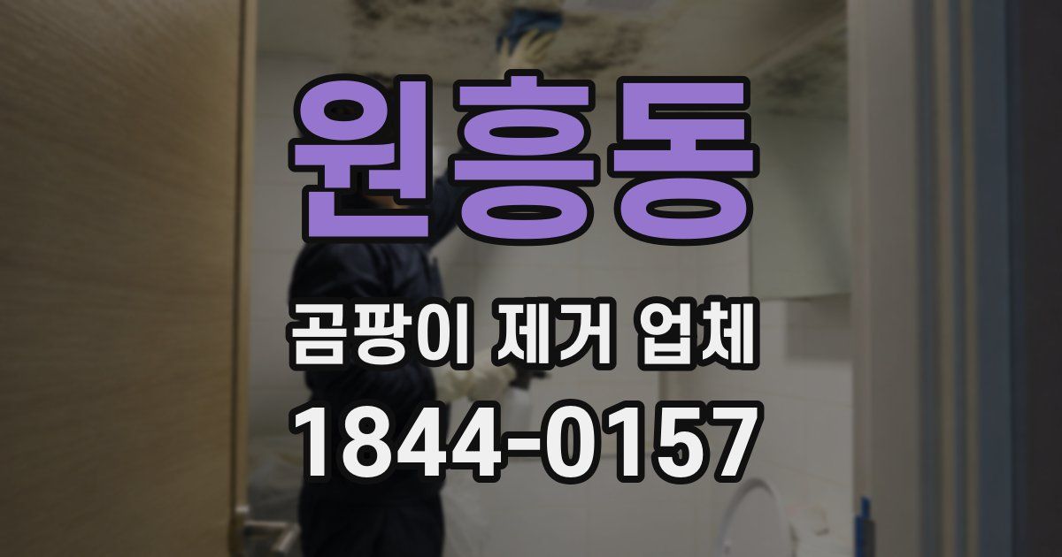 원흥동 곰팡이 제거 업체