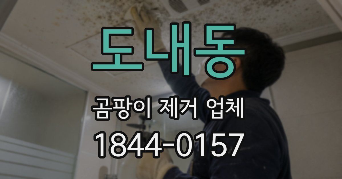 도내동 곰팡이 제거 업체