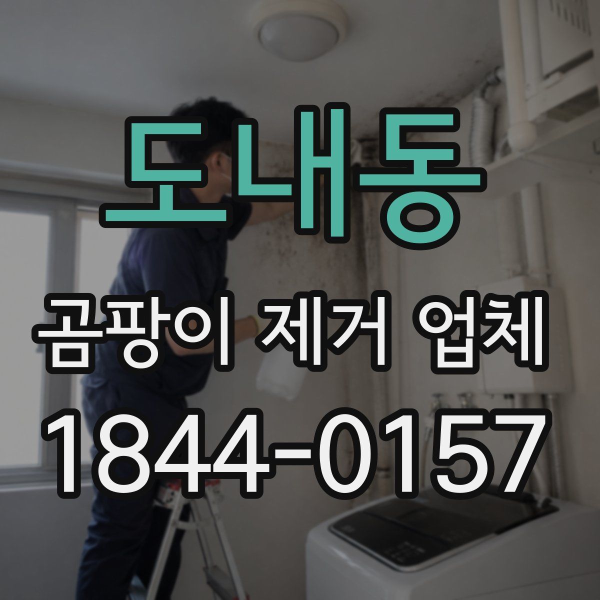 도내동 곰팡이 제거 업체