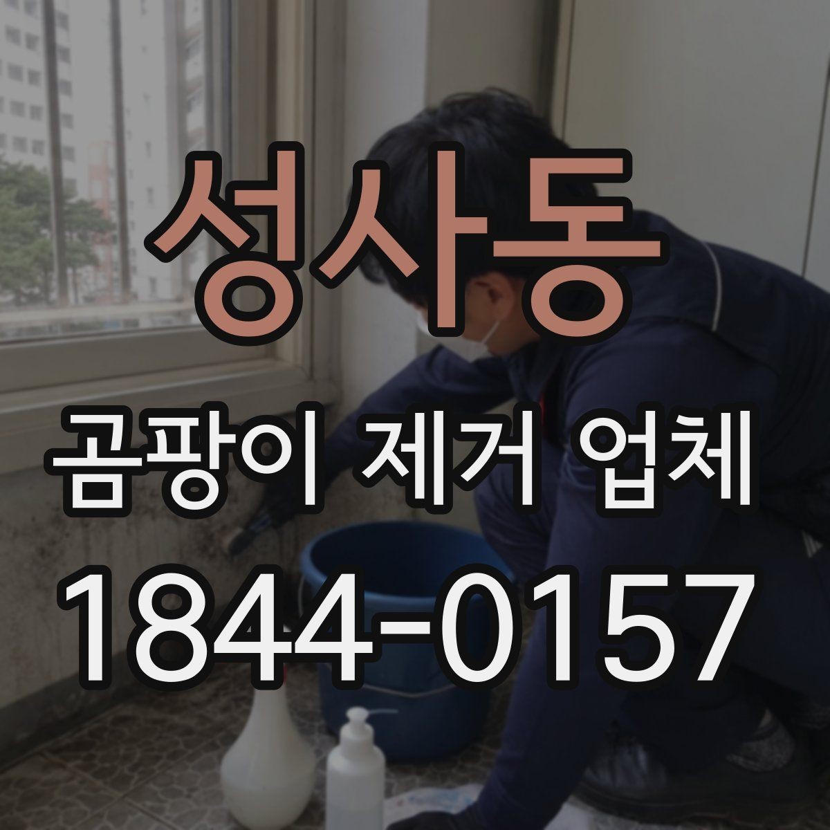 성사동 곰팡이 제거 업체 선정 시 주의할 점
