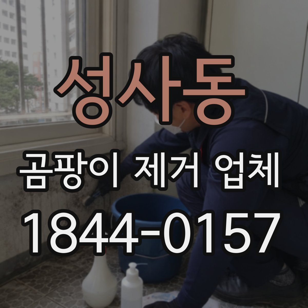 성사동 곰팡이 제거 업체