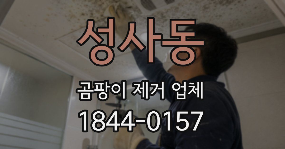 성사동 곰팡이 제거 업체