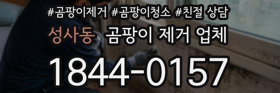 성사동 곰팡이 제거 업체
