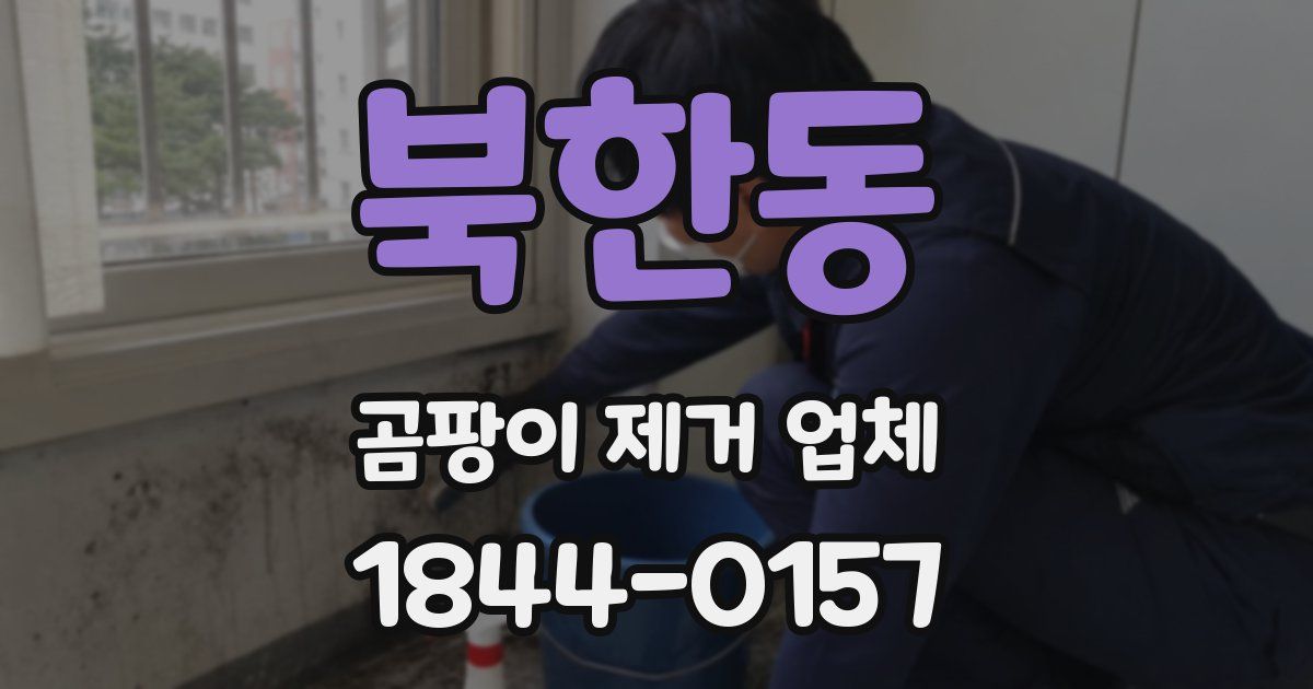 북한동 곰팡이 제거 업체