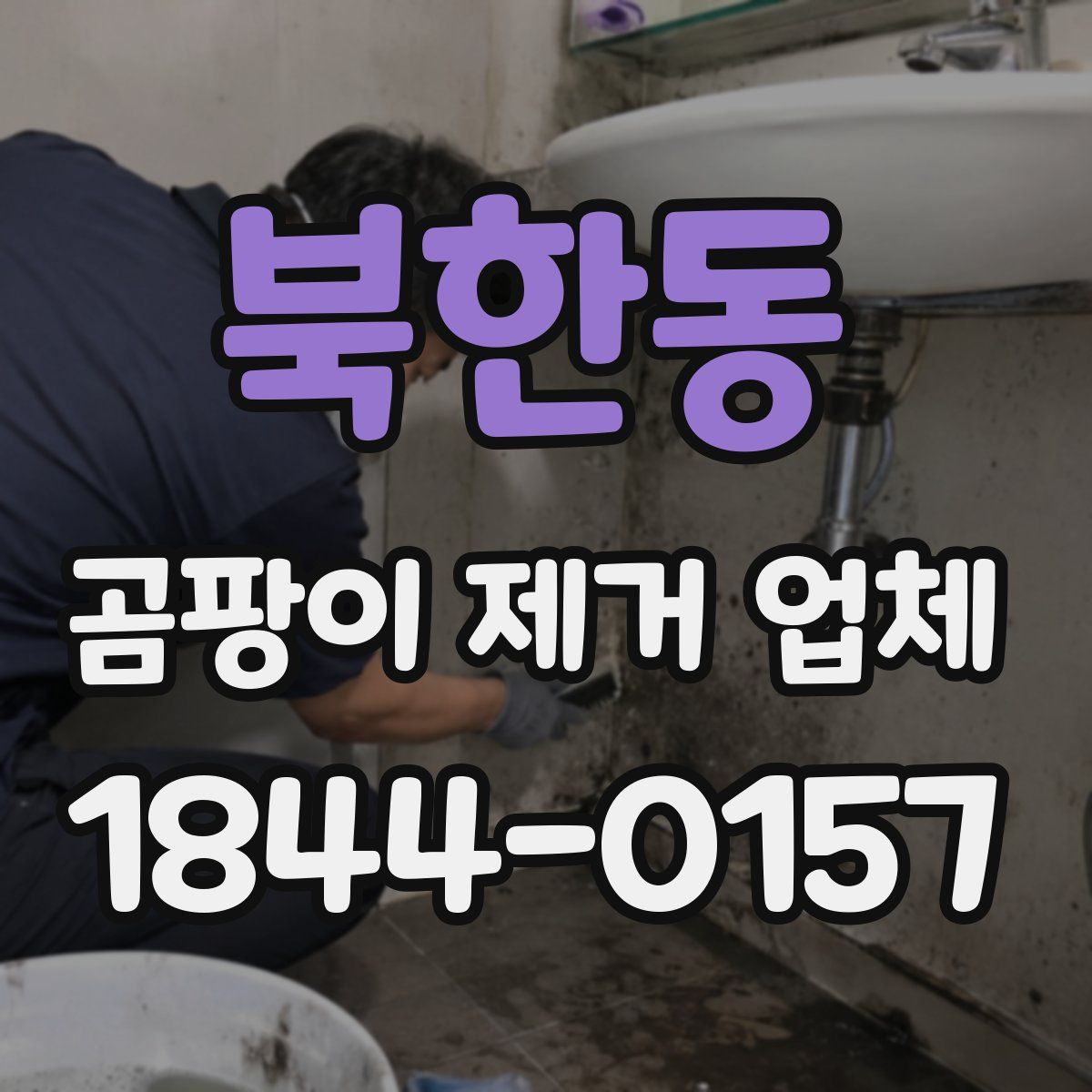 북한동 곰팡이 제거 업체