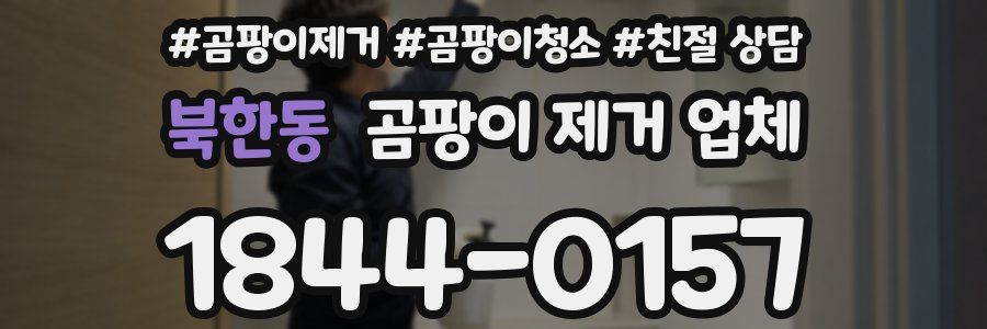 북한동 곰팡이 제거 업체