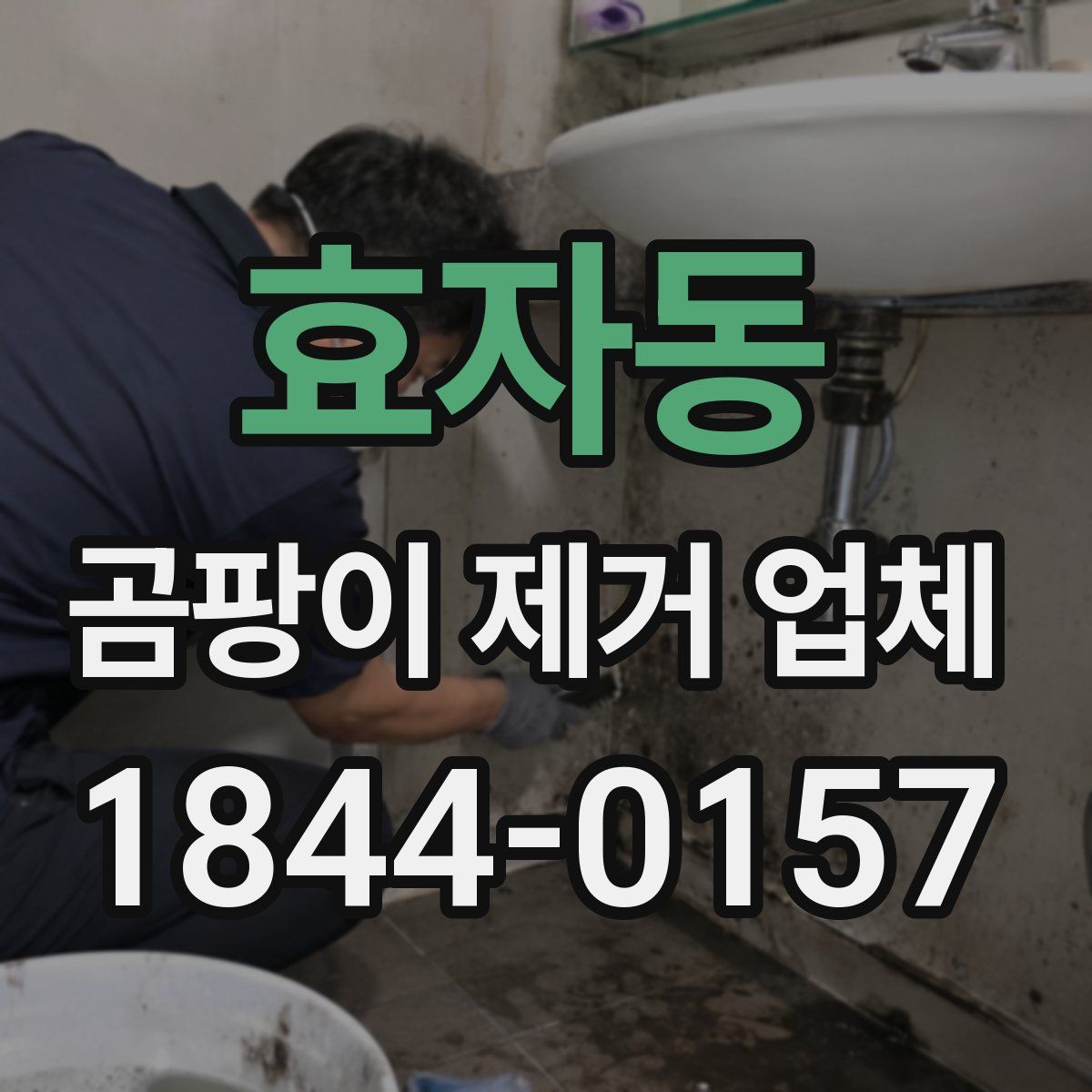 효자동 곰팡이 제거 업체