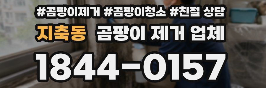 지축동 곰팡이 제거 업체