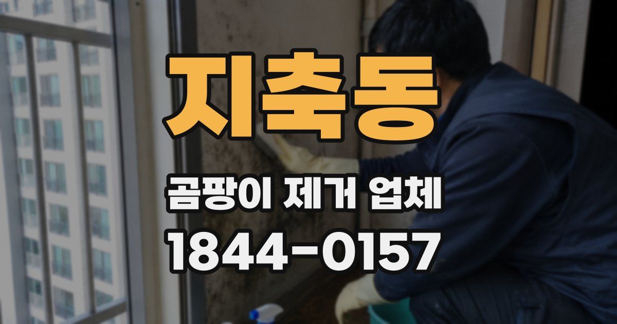 지축동 곰팡이 제거 업체