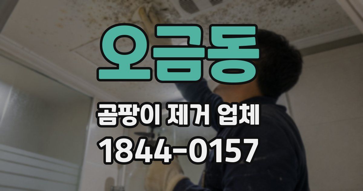 오금동 곰팡이 제거 업체