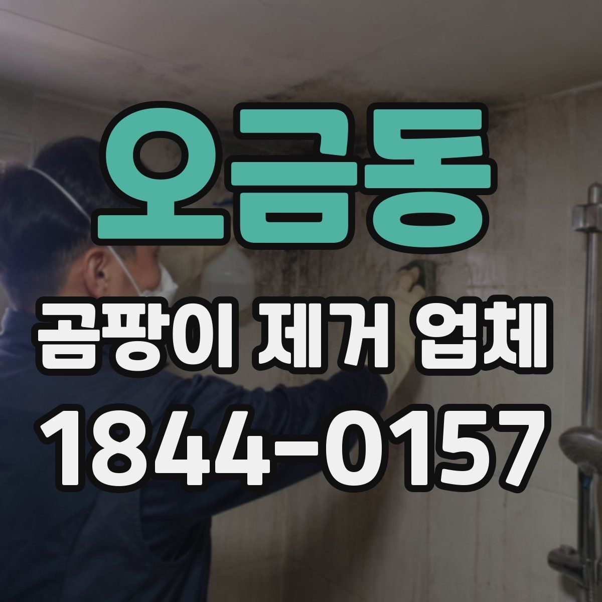 오금동 곰팡이 제거 업체