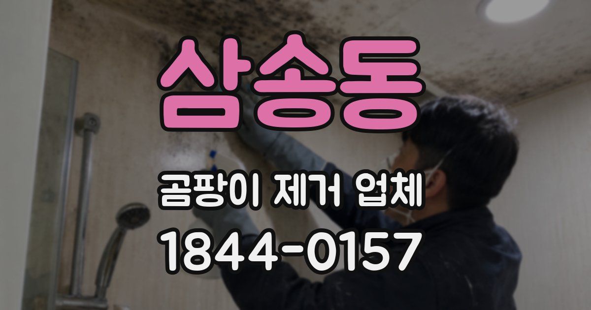 삼송동 곰팡이 제거 업체