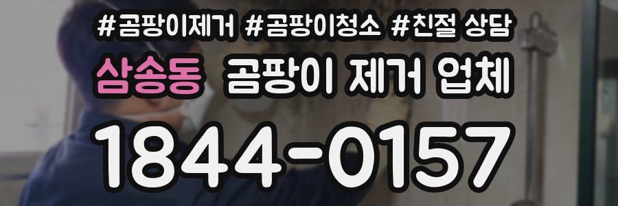 삼송동 곰팡이 제거 업체