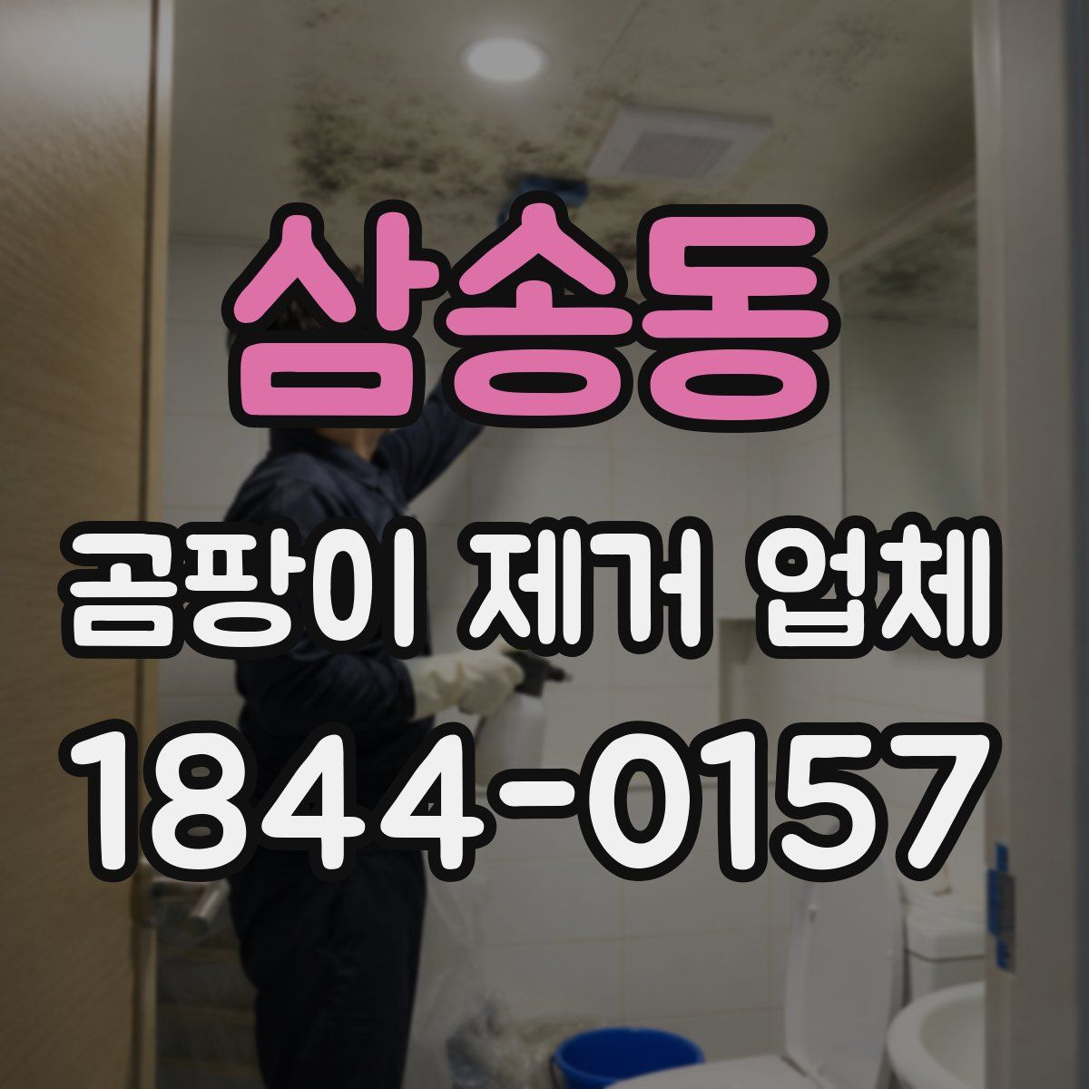 삼송동 곰팡이 제거 업체
