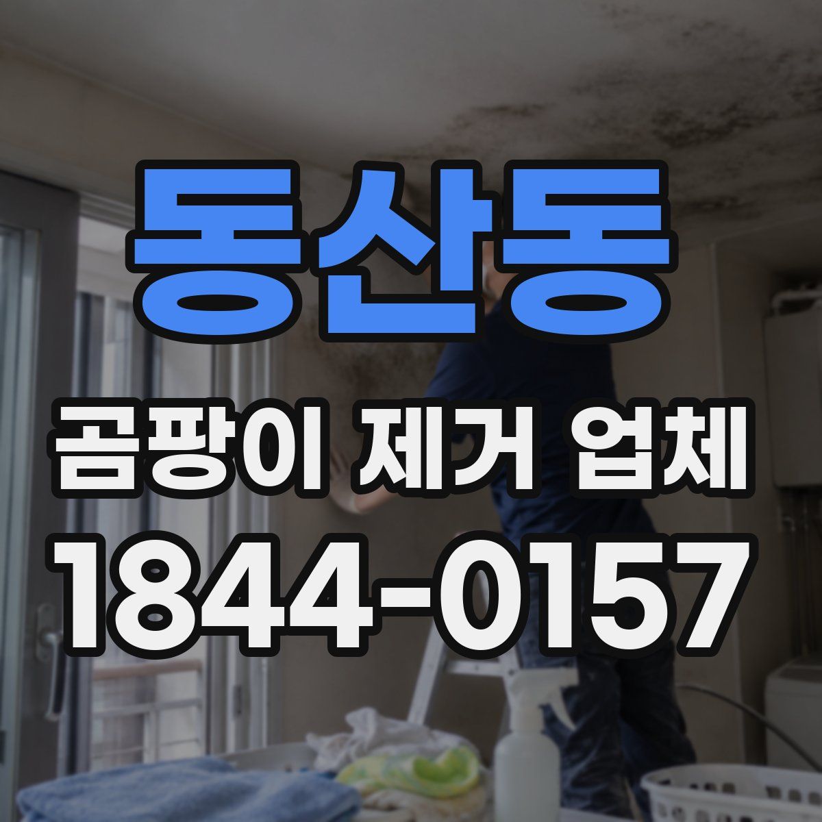 동산동 곰팡이 제거 업체