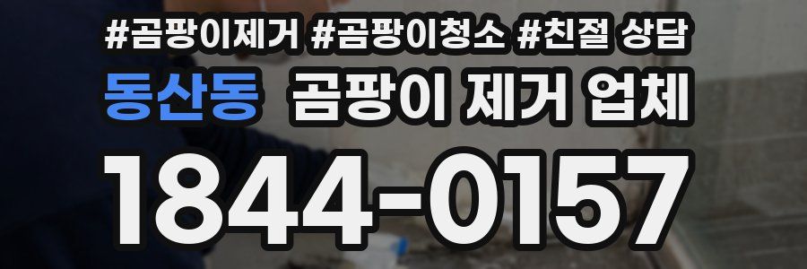 동산동 곰팡이 제거 업체