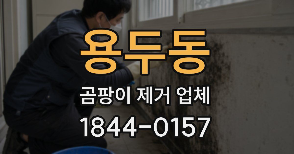 용두동 곰팡이 제거 업체