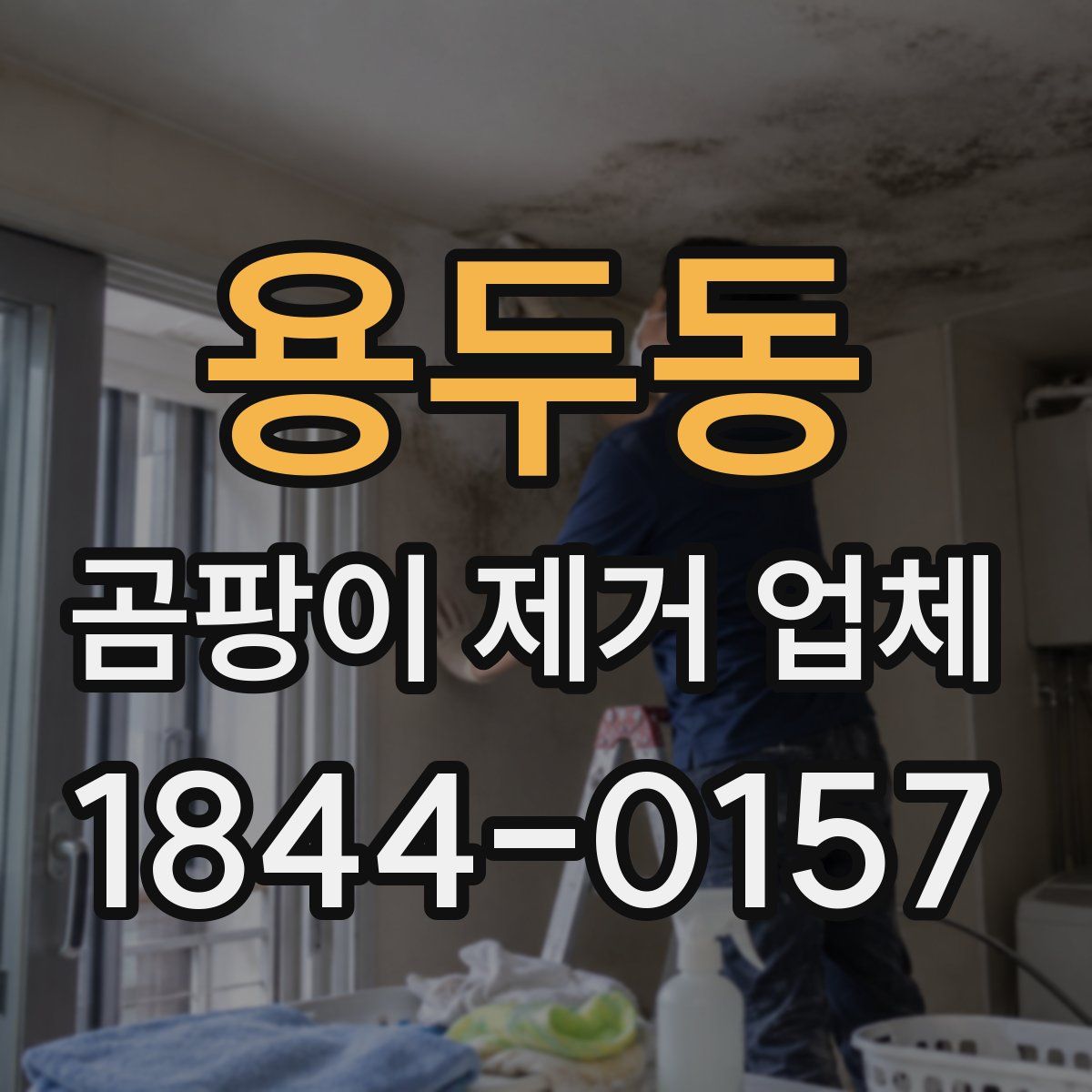 용두동 곰팡이 제거 업체
