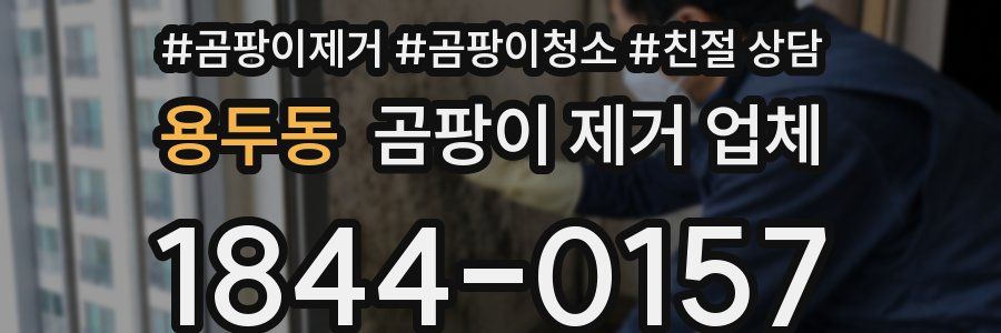 용두동 곰팡이 제거 업체