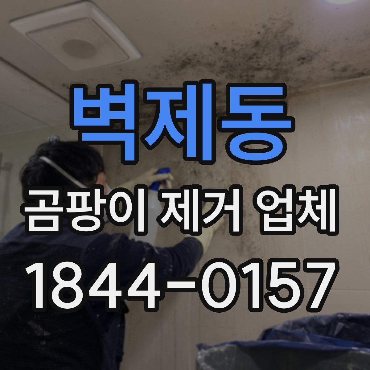벽제동 곰팡이 제거 업체