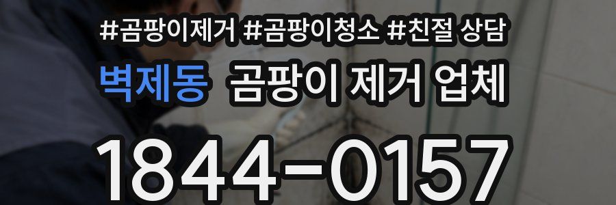 벽제동 곰팡이 제거 업체