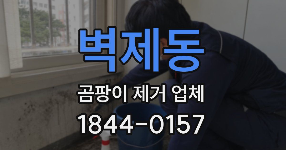 벽제동 곰팡이 제거 업체