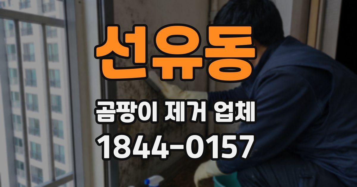 선유동 곰팡이 제거 업체
