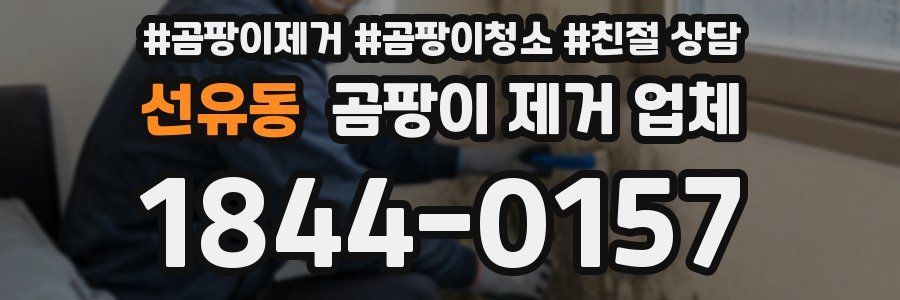 선유동 곰팡이 제거 업체